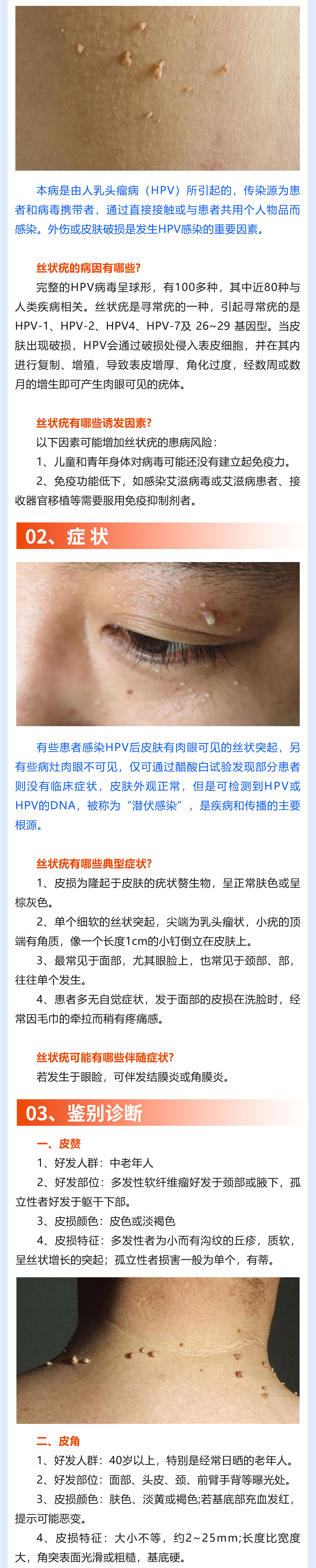 期刊2.jpg